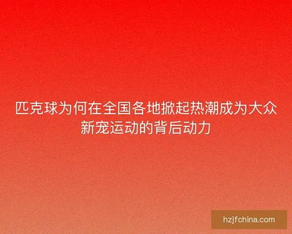 匹克球为何在全国各地掀起热潮成为大众新宠运动的背后动力